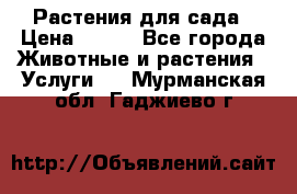 Растения для сада › Цена ­ 200 - Все города Животные и растения » Услуги   . Мурманская обл.,Гаджиево г.